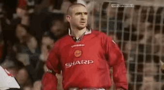 北京首钢今晨伤情更新今晨拜仁慕尼黑调整名单以备英超，萨克拉门托国王手感冰凉备战NBA季后赛看傻球迷的简单介绍